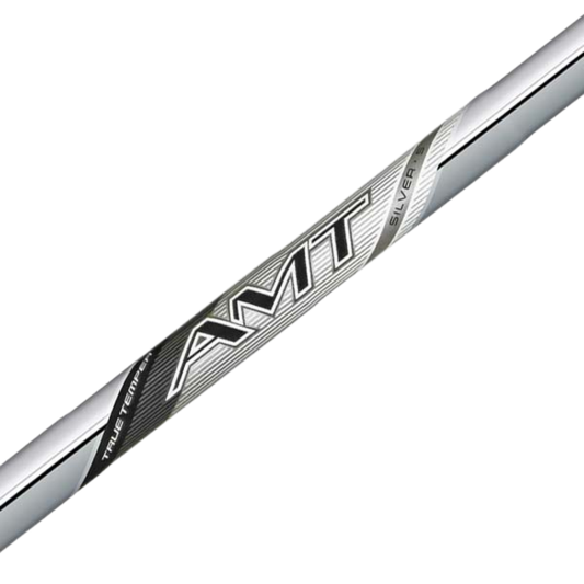 NEW AMT SILVER