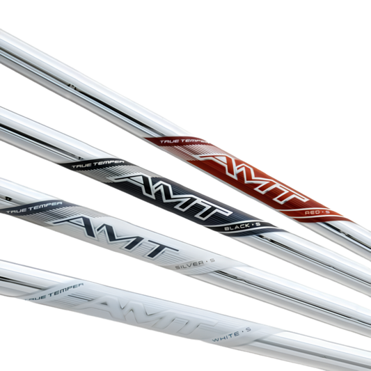 NEW AMT SILVER